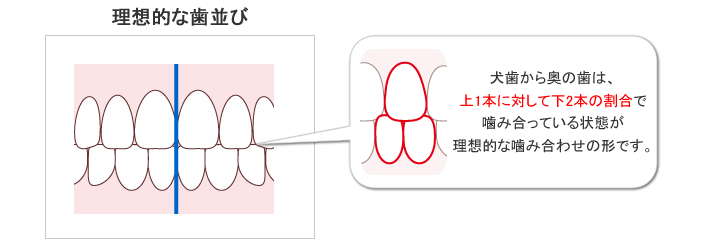 矯正 大阪 歯並び